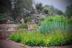 The Central Gardens are part of the Wildflower Center’s original core