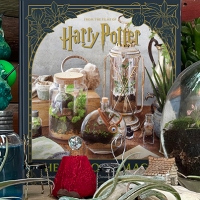 My New Book: Harry Potter: Herbology Magic